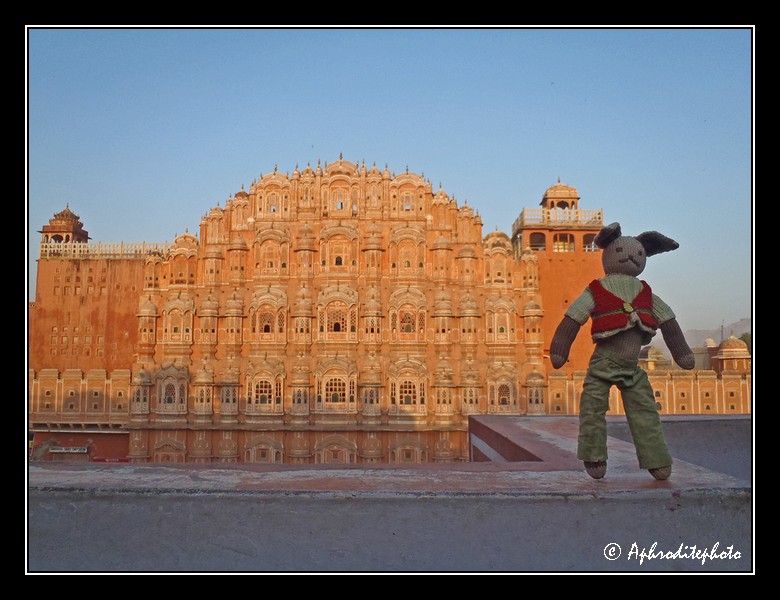 Lapinou Discovers India 2011